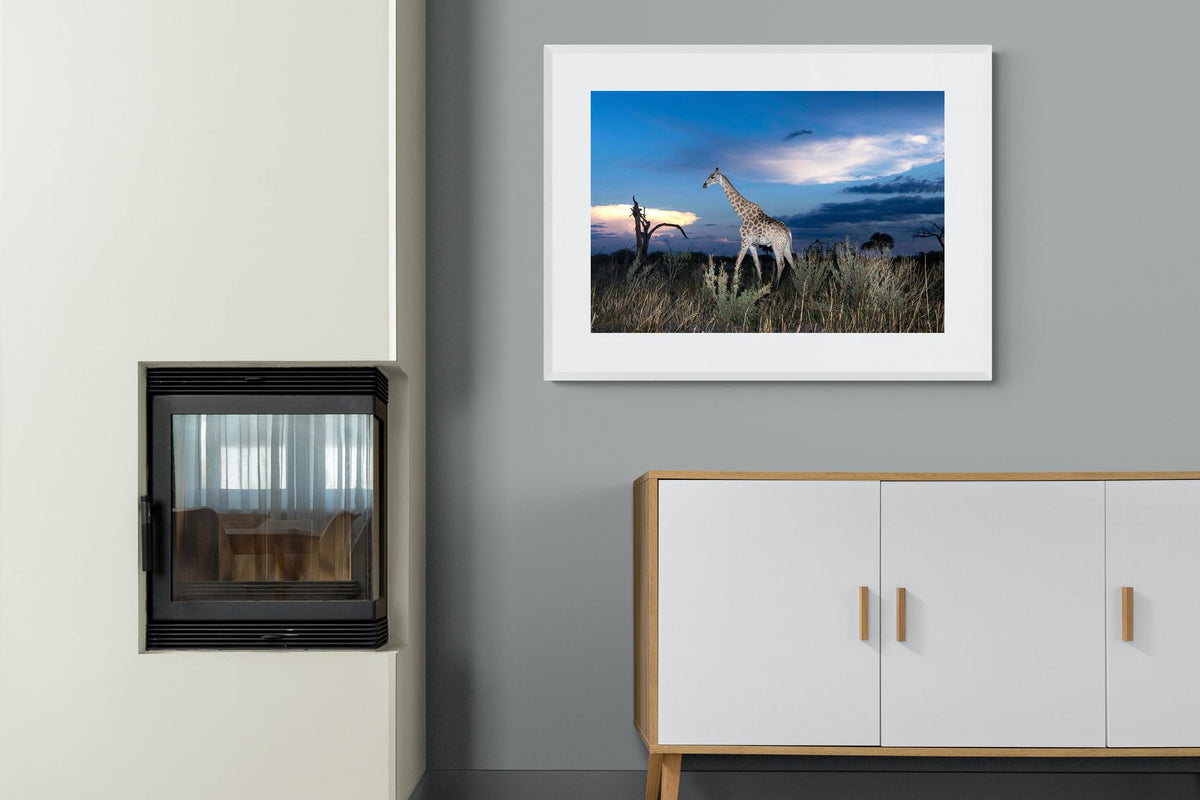 Pixalot ® Blue Hour Giraffe