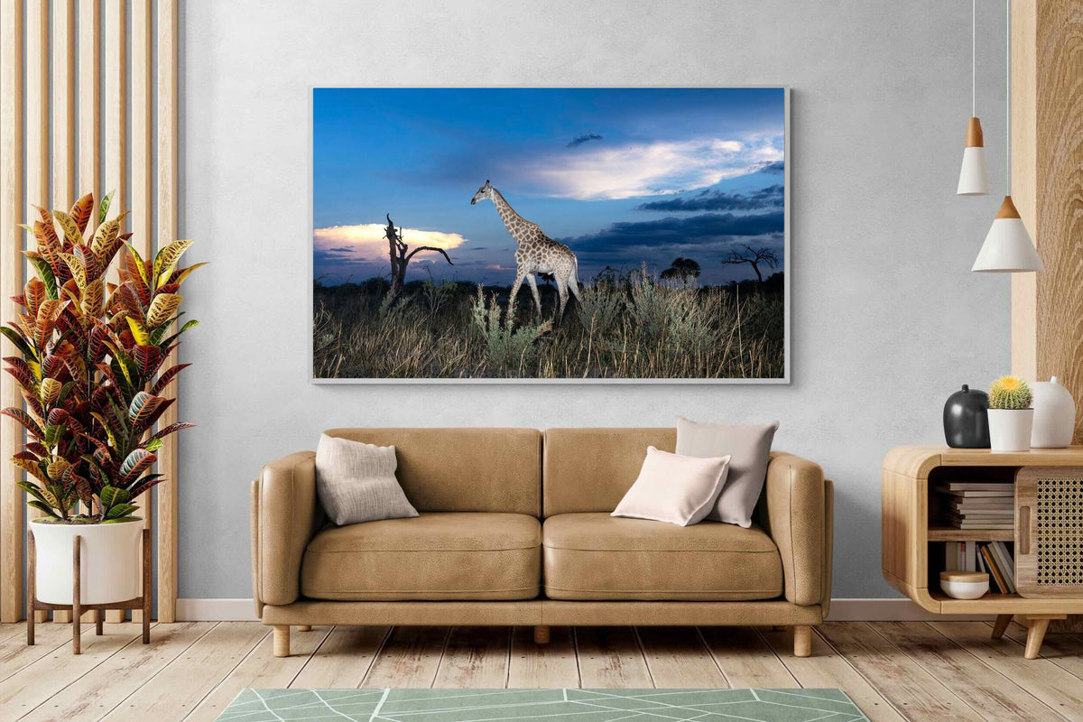 Pixalot ® Blue Hour Giraffe
