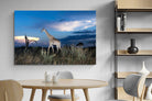 Pixalot ® Blue Hour Giraffe