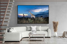 Pixalot ® Blue Hour Giraffe