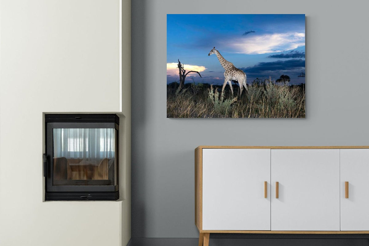 Pixalot ® Blue Hour Giraffe