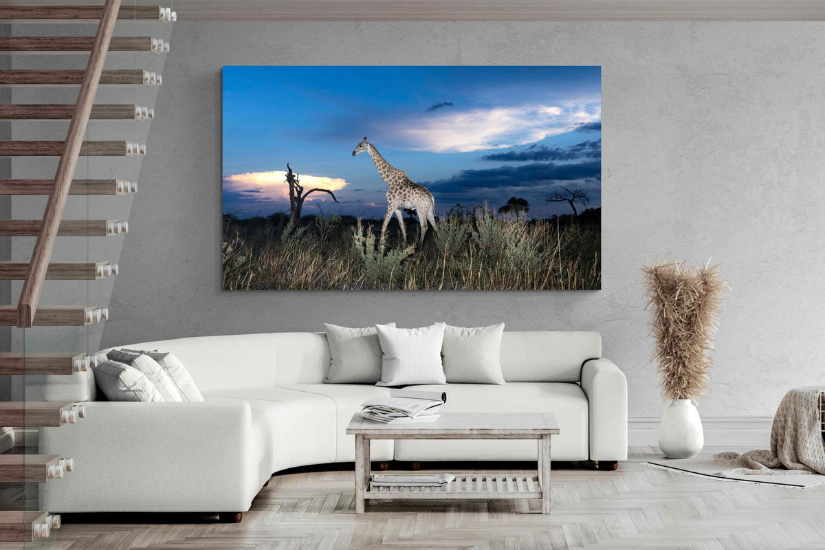 Pixalot ® Blue Hour Giraffe