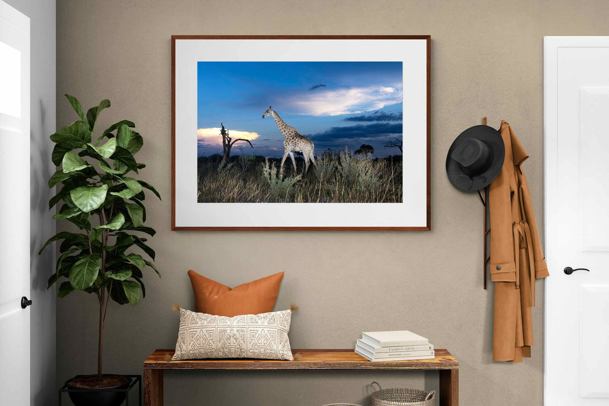 Pixalot ® Blue Hour Giraffe