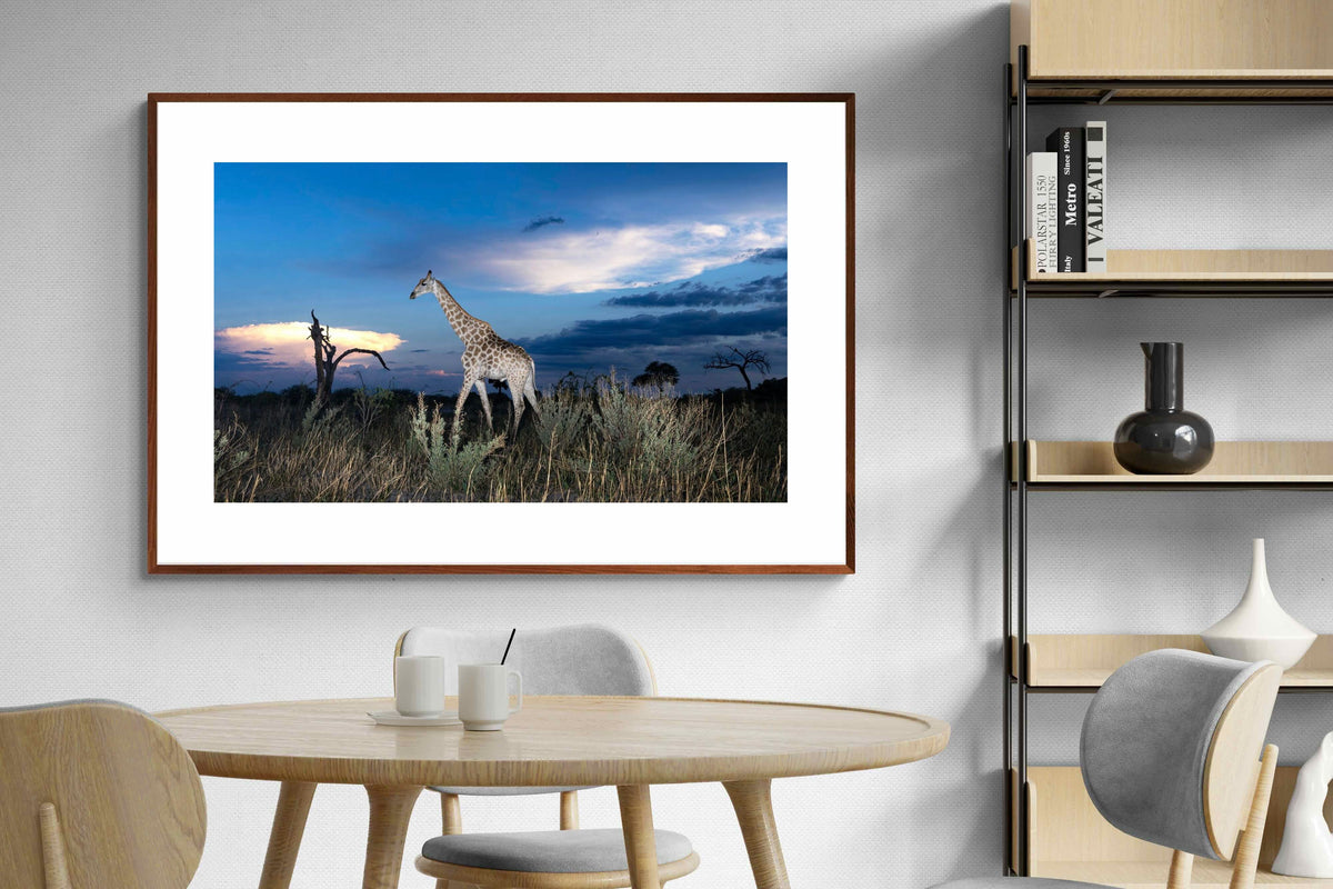 Pixalot ® Blue Hour Giraffe