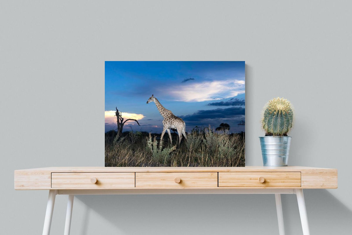 Pixalot ® Blue Hour Giraffe