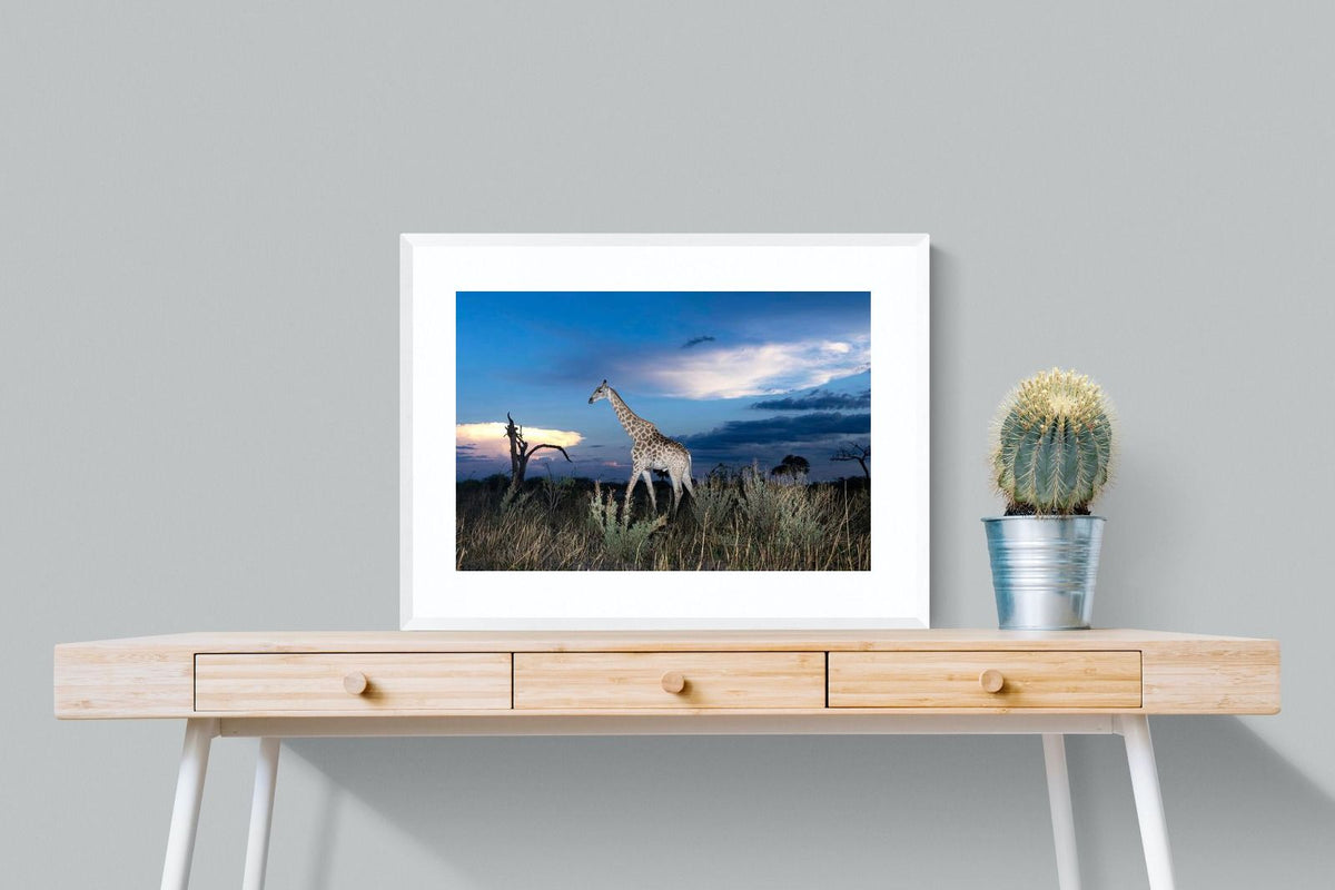 Pixalot ® Blue Hour Giraffe