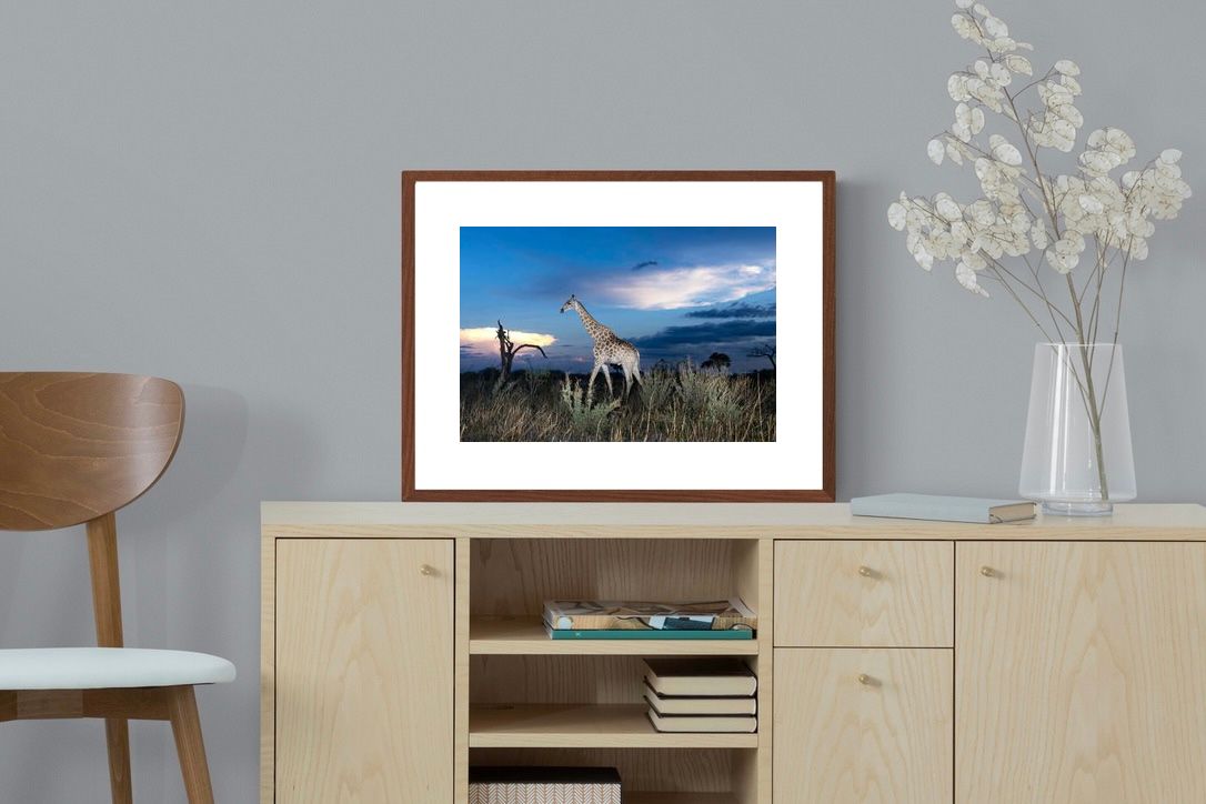 Pixalot ® Blue Hour Giraffe