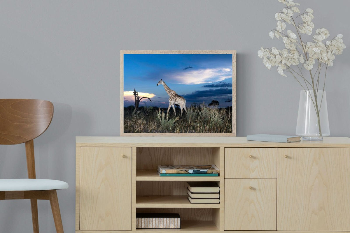 Pixalot ® Blue Hour Giraffe