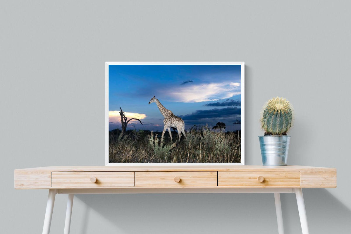 Pixalot ® Blue Hour Giraffe