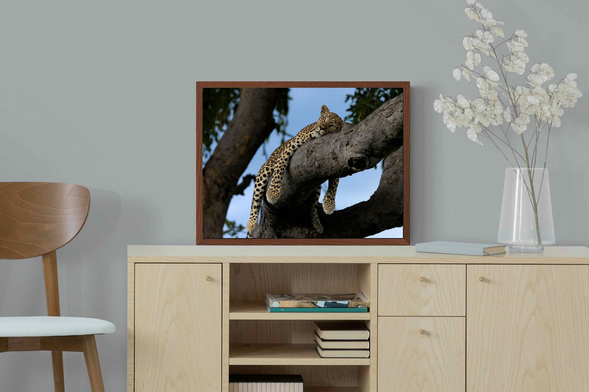 Pixalot ® Branch Lounge