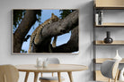 Pixalot ® Branch Lounge