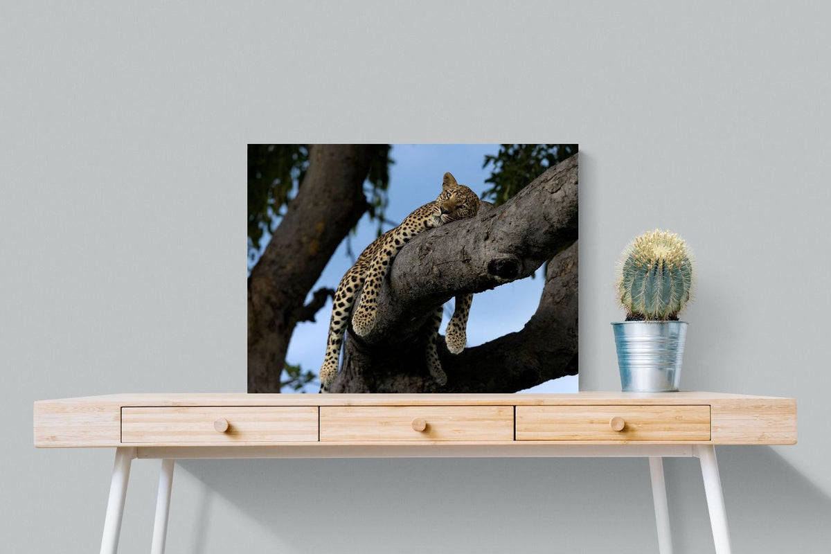Pixalot ® Branch Lounge