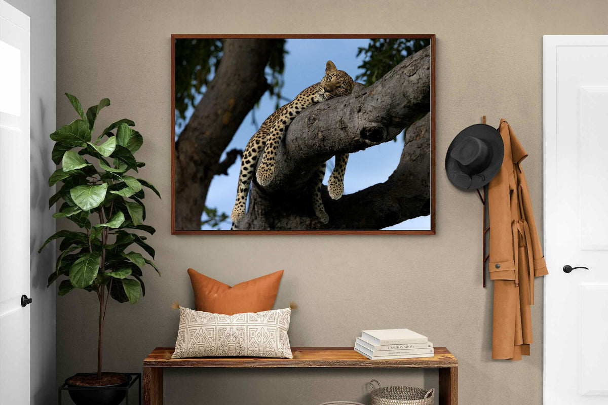 Pixalot ® Branch Lounge