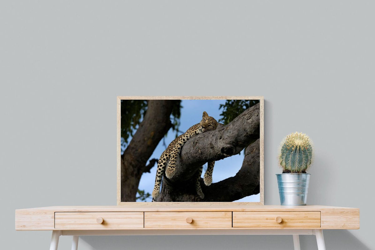 Pixalot ® Branch Lounge