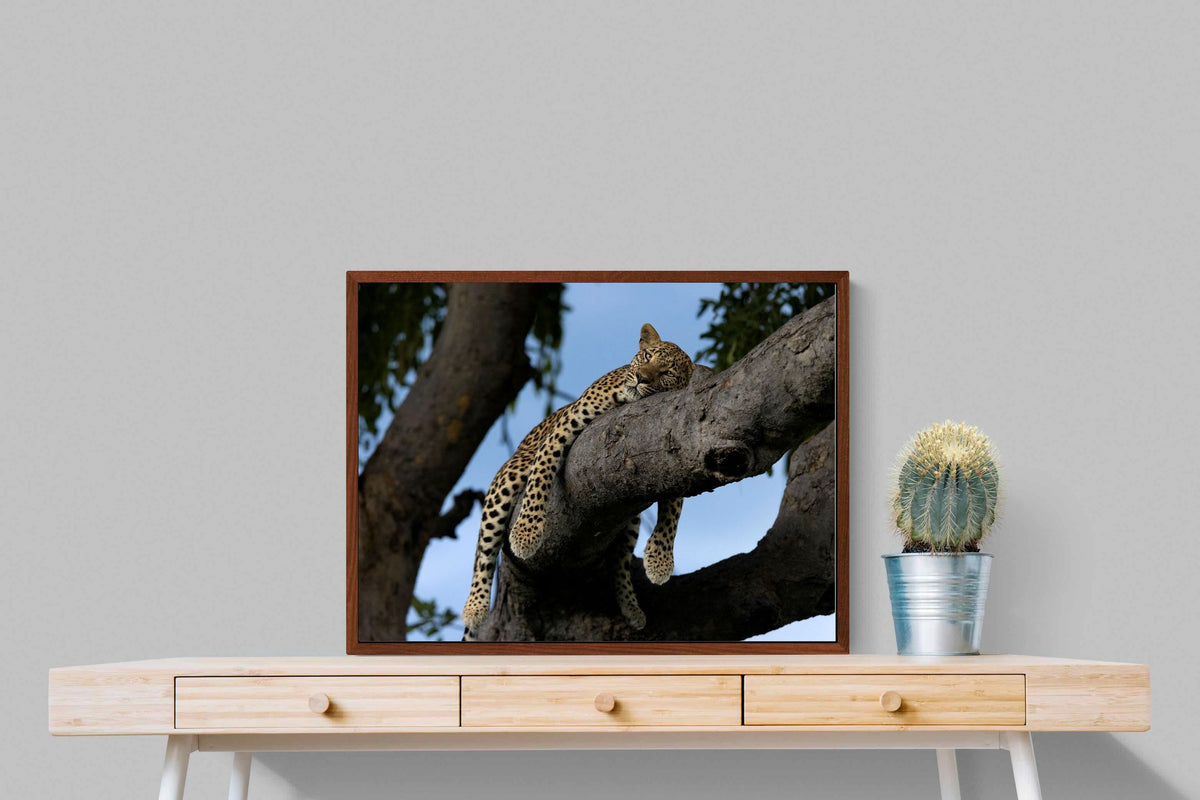 Pixalot ® Branch Lounge