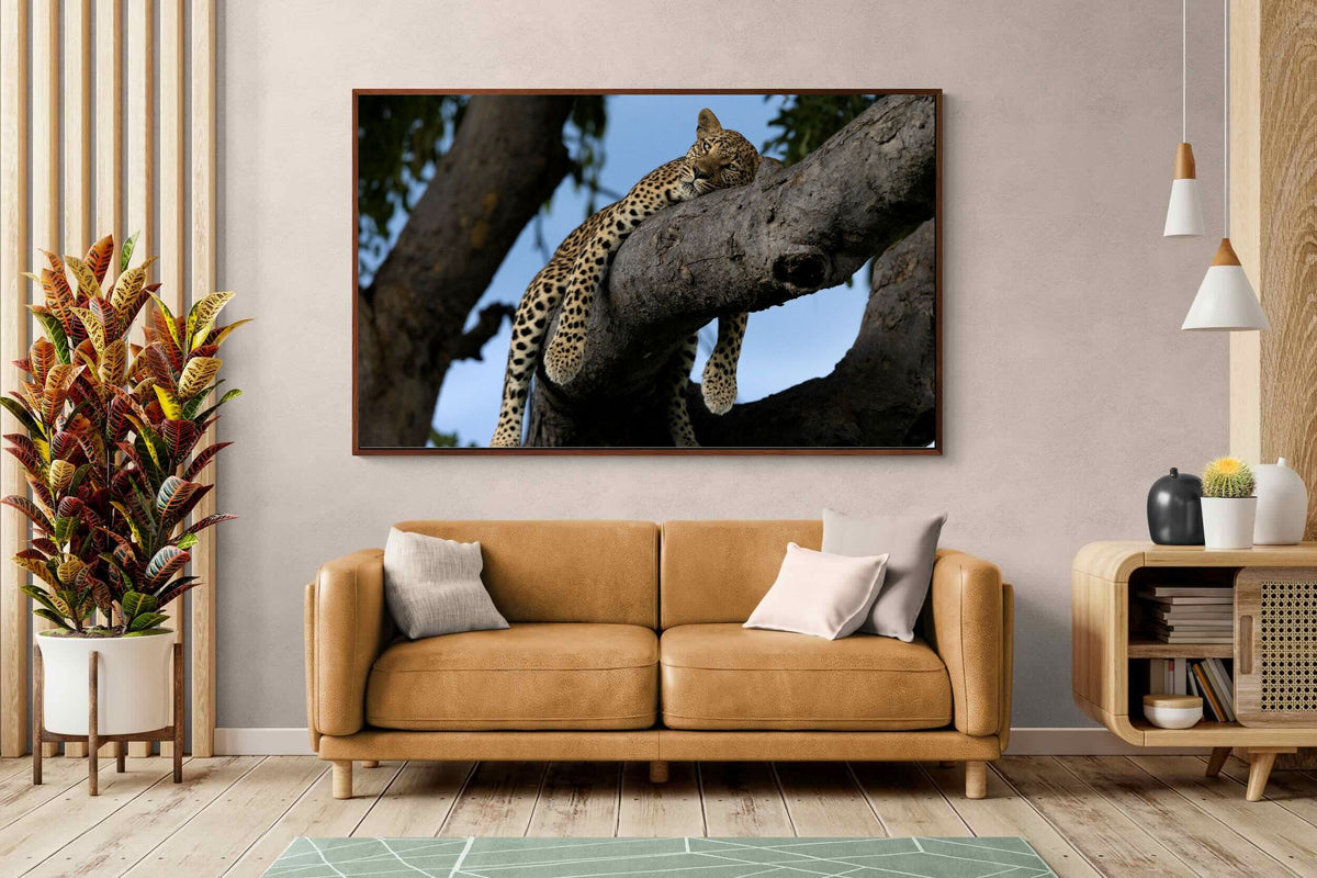 Pixalot ® Branch Lounge