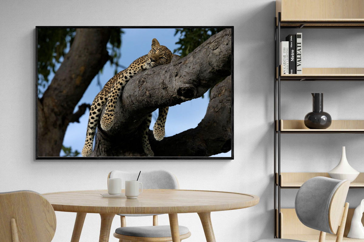 Pixalot ® Branch Lounge