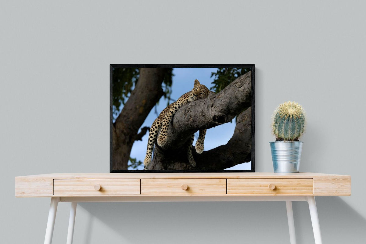 Pixalot ® Branch Lounge