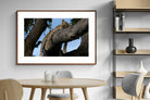 Pixalot ® Branch Lounge