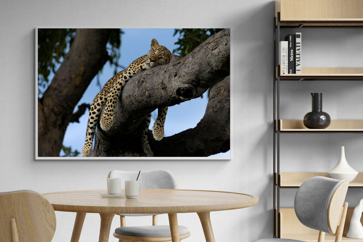 Pixalot ® Branch Lounge