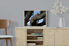 Pixalot ® Branch Lounge