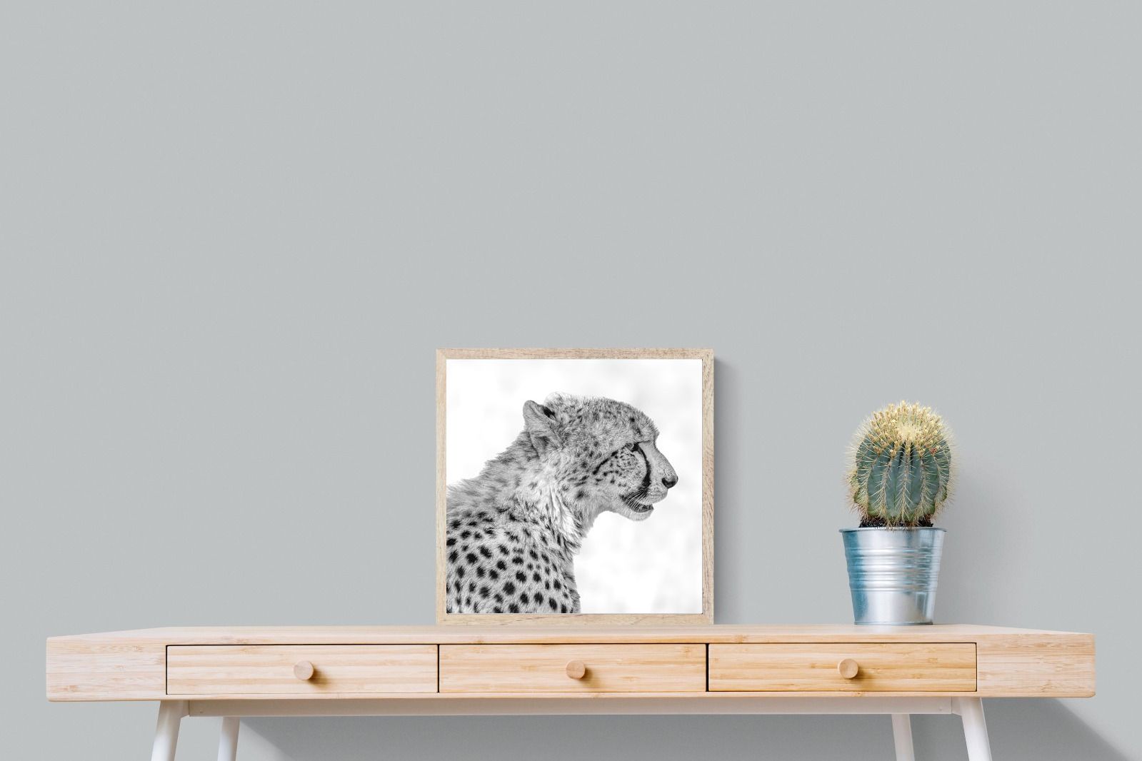 Pixalot ® Cheetah Profile