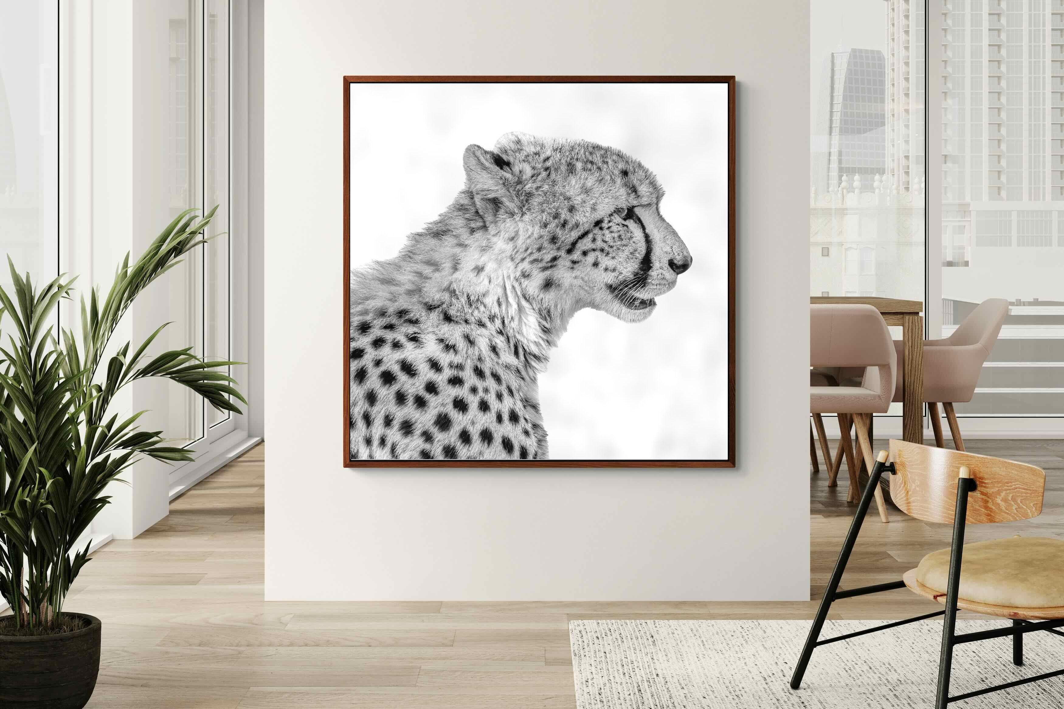 Pixalot ® Cheetah Profile