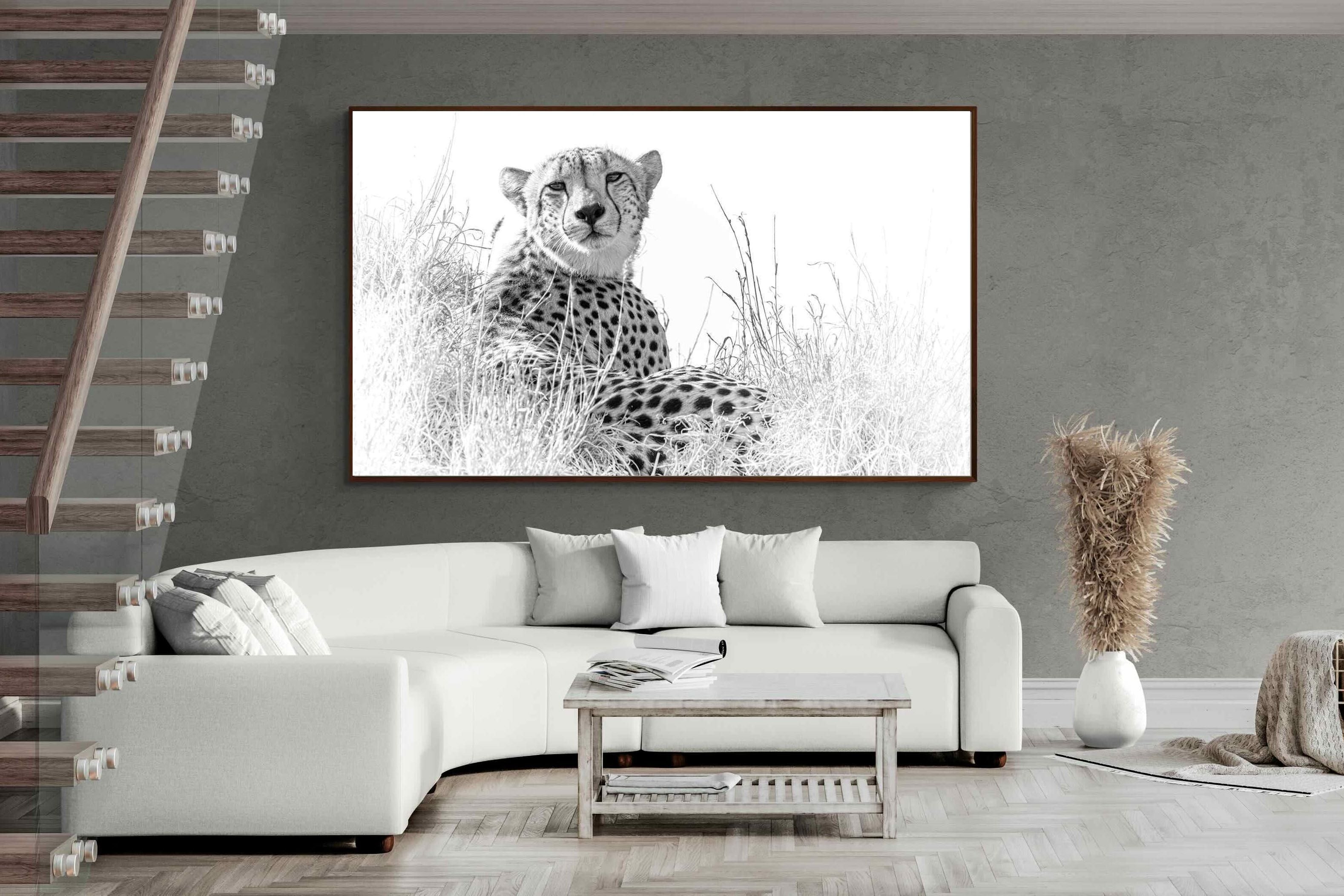 Pixalot ® Cheetah Whiteout