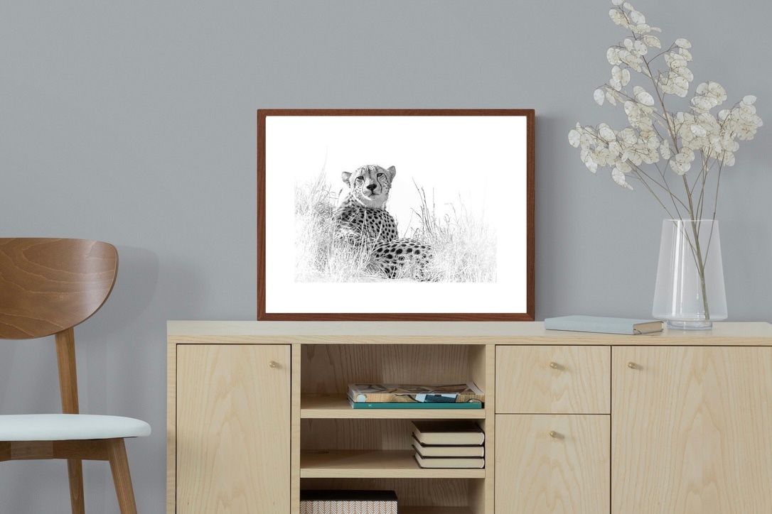 Pixalot ® Cheetah Whiteout