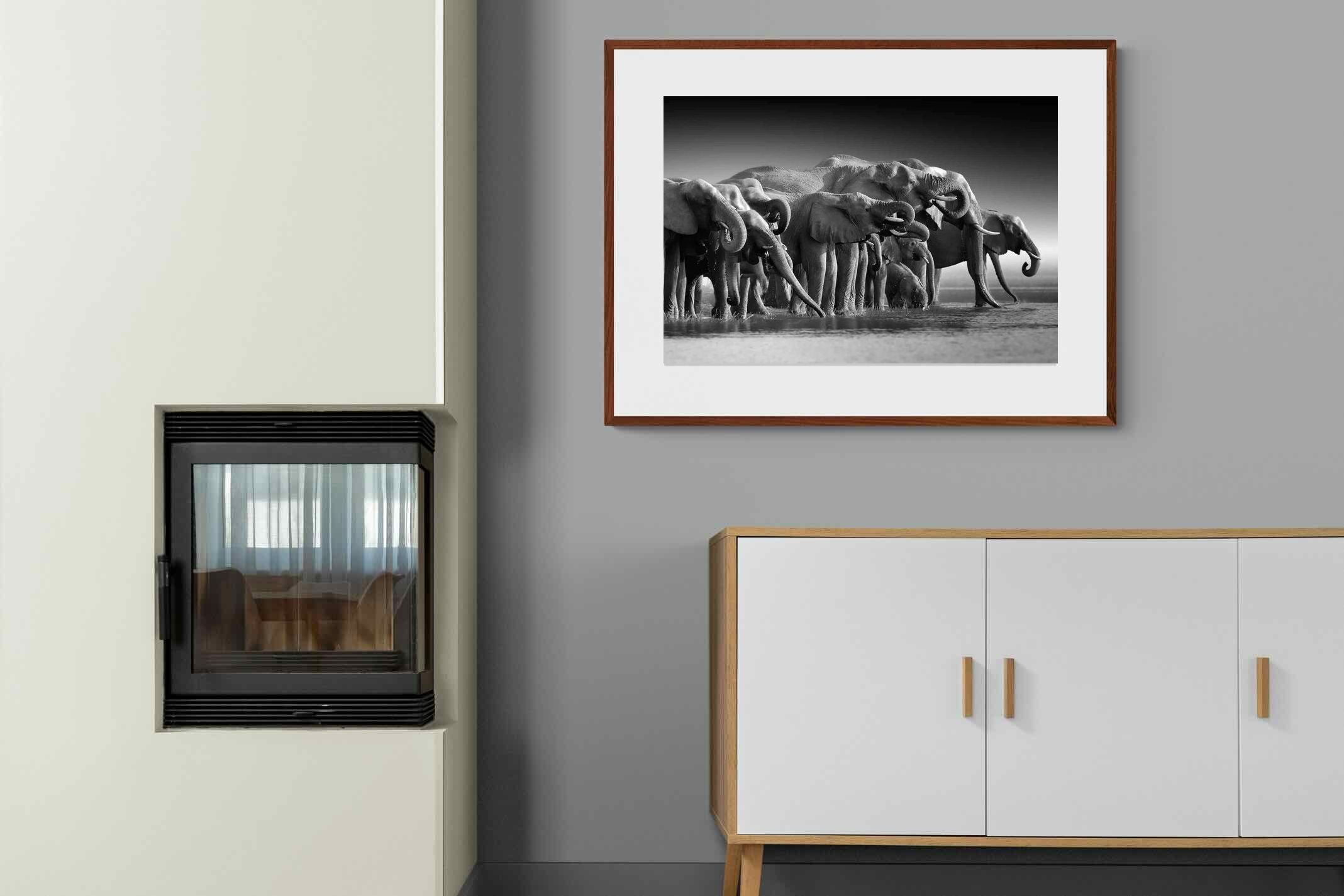 Pixalot ® Chobe Elephants