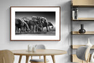 Pixalot ® Chobe Elephants
