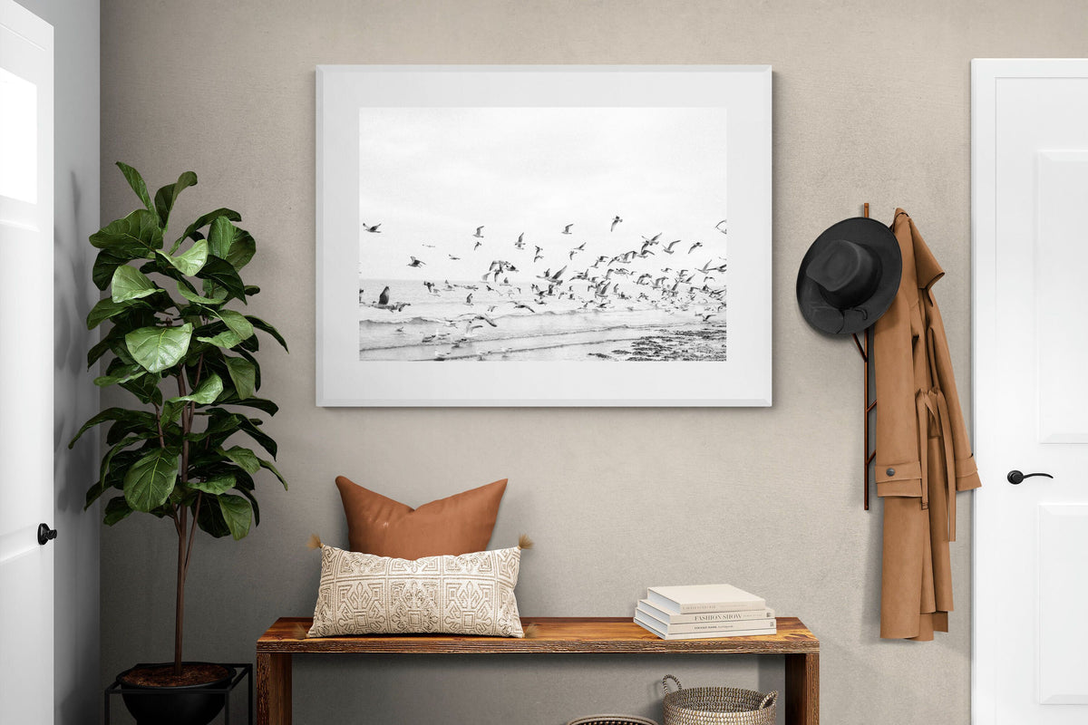 Pixalot ® Coastal Flight