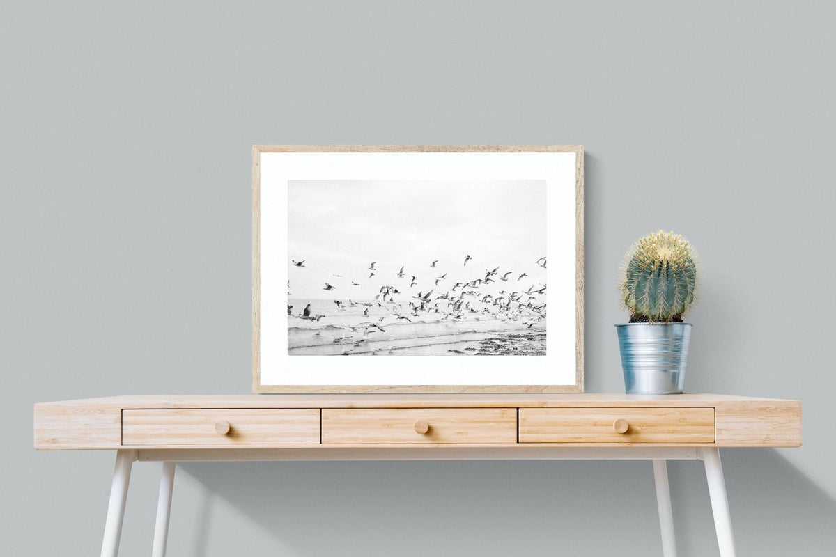 Pixalot ® Coastal Flight