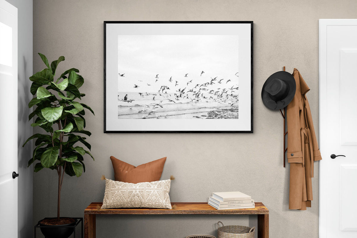 Pixalot ® Coastal Flight
