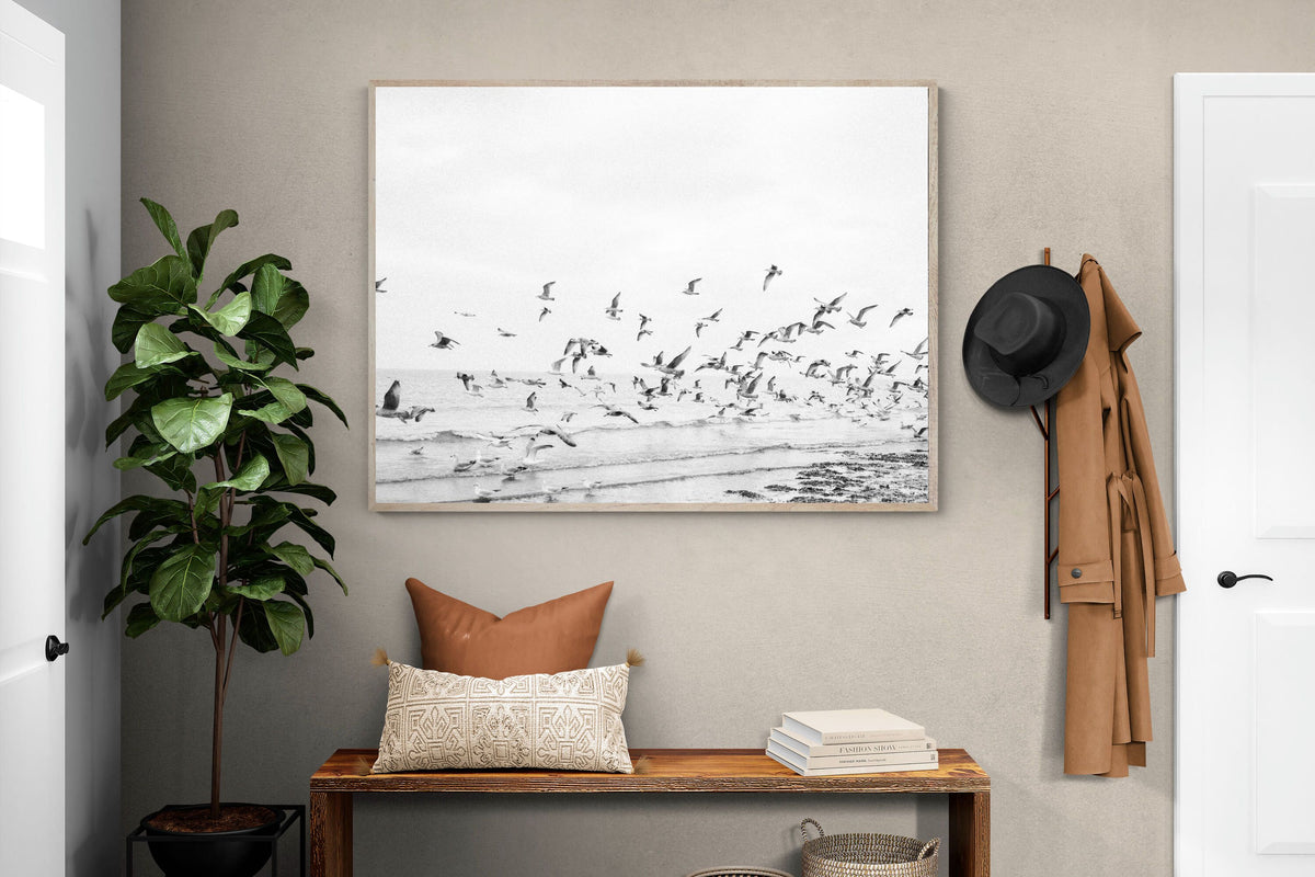 Pixalot ® Coastal Flight