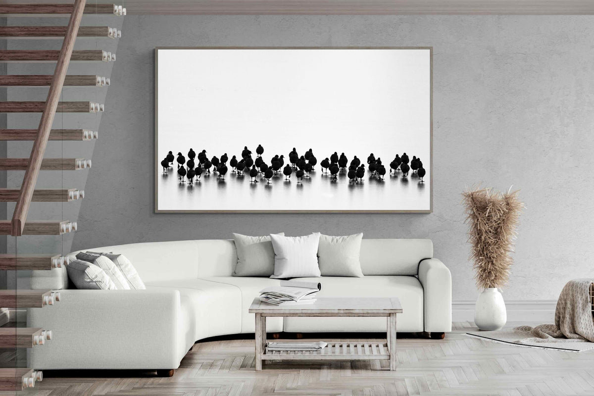 Pixalot ® Coot Gathering
