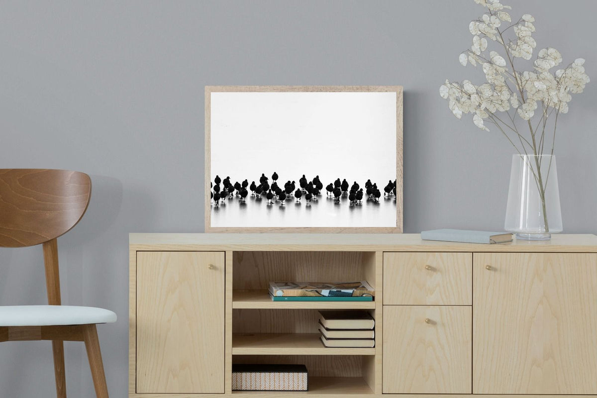 Pixalot ® Coot Gathering