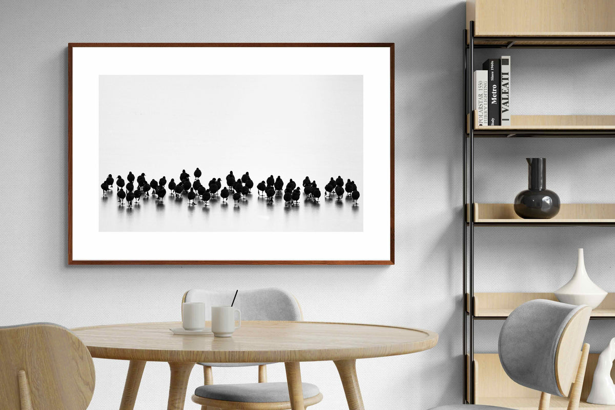 Pixalot ® Coot Gathering