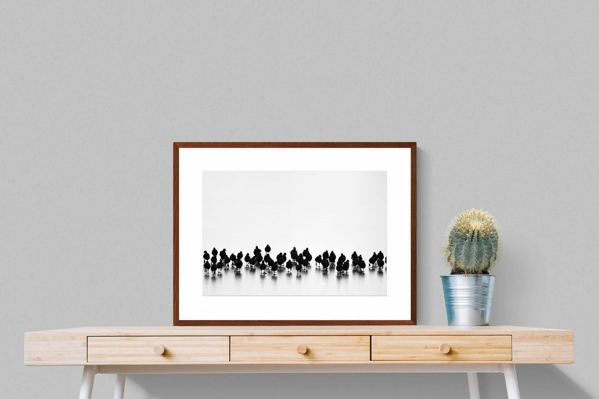 Pixalot ® Coot Gathering