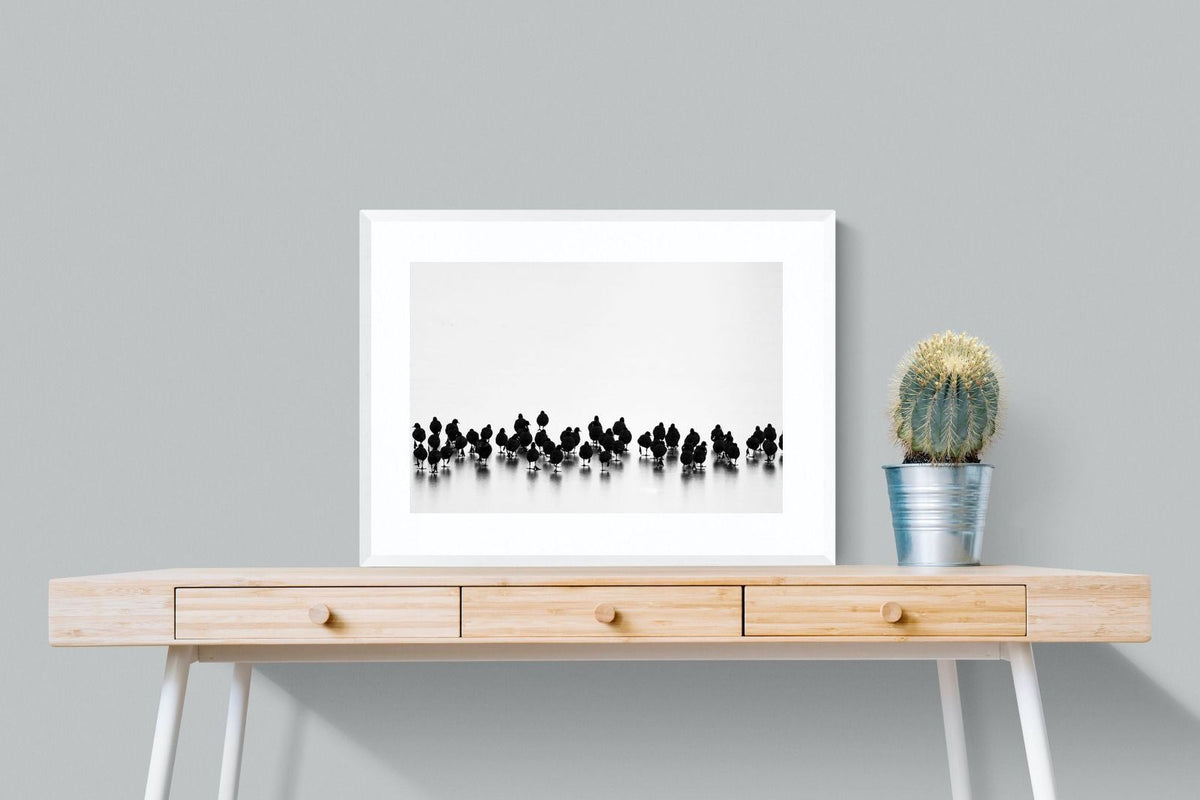 Pixalot ® Coot Gathering