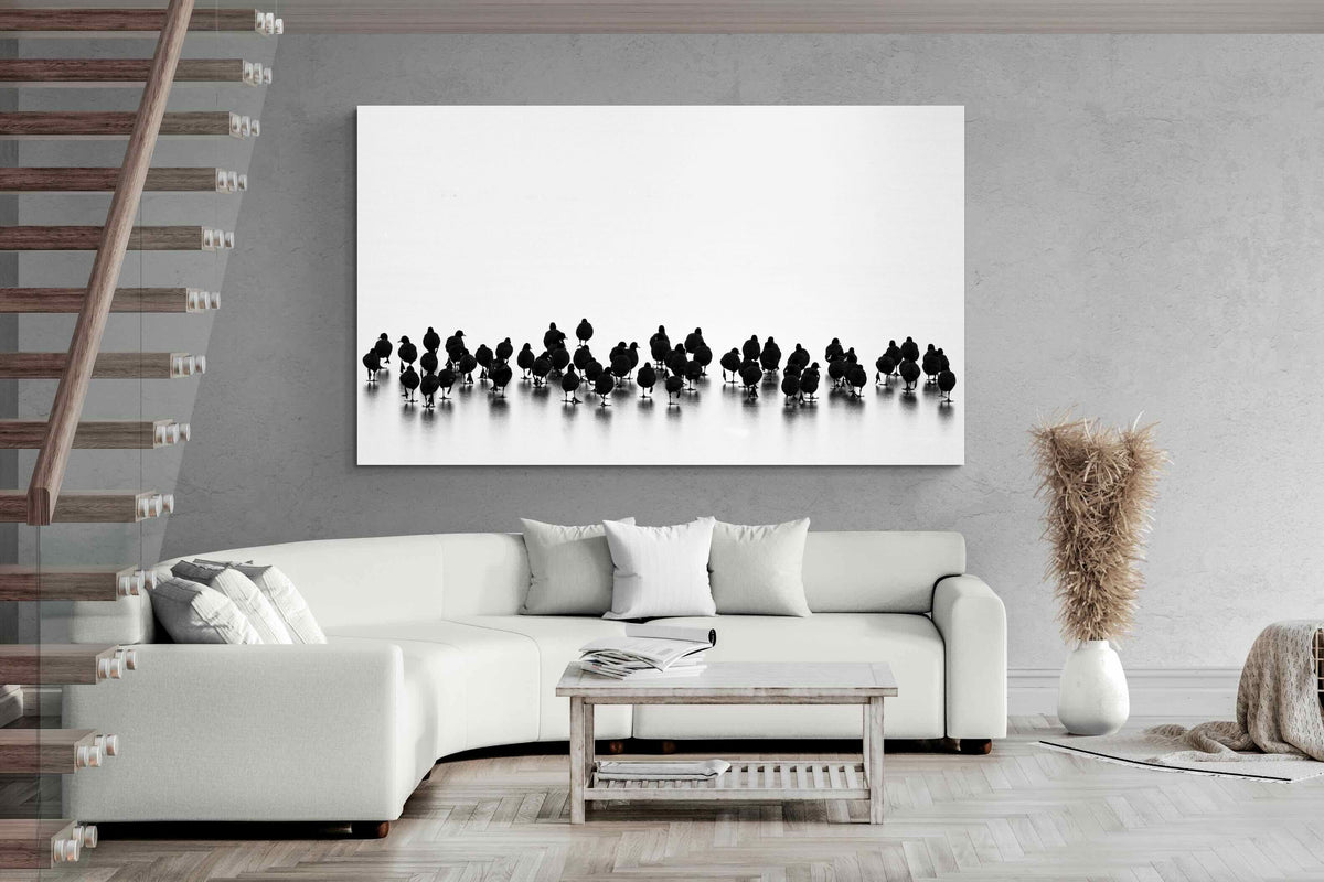 Pixalot ® Coot Gathering