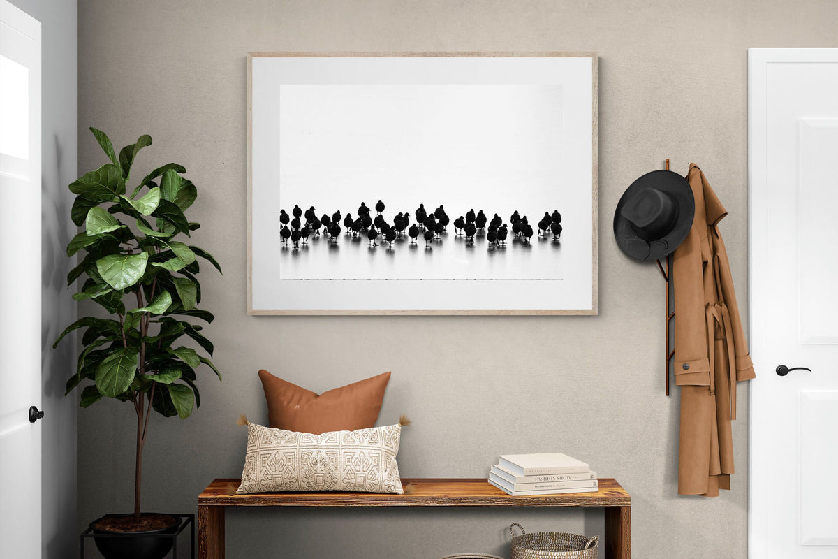 Pixalot ® Coot Gathering