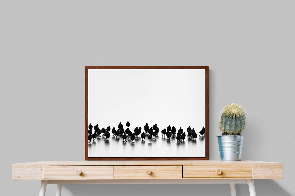Pixalot ® Coot Gathering