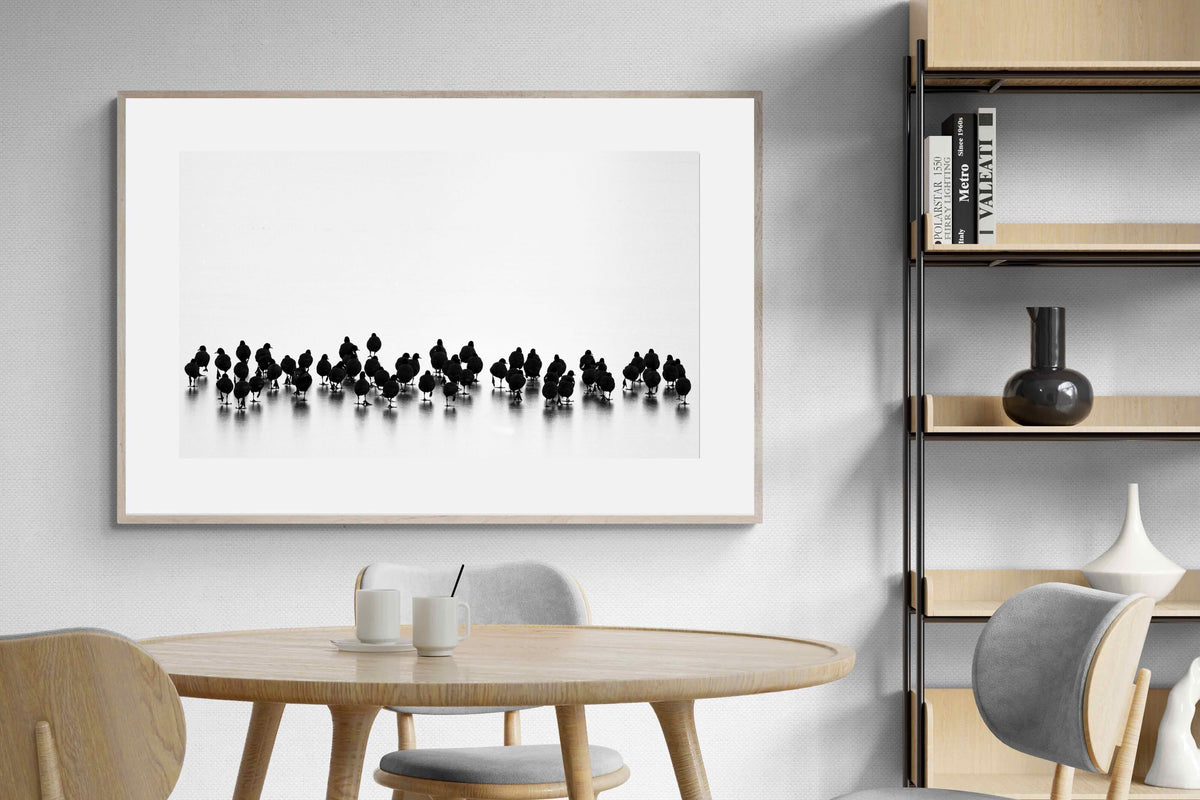 Pixalot ® Coot Gathering