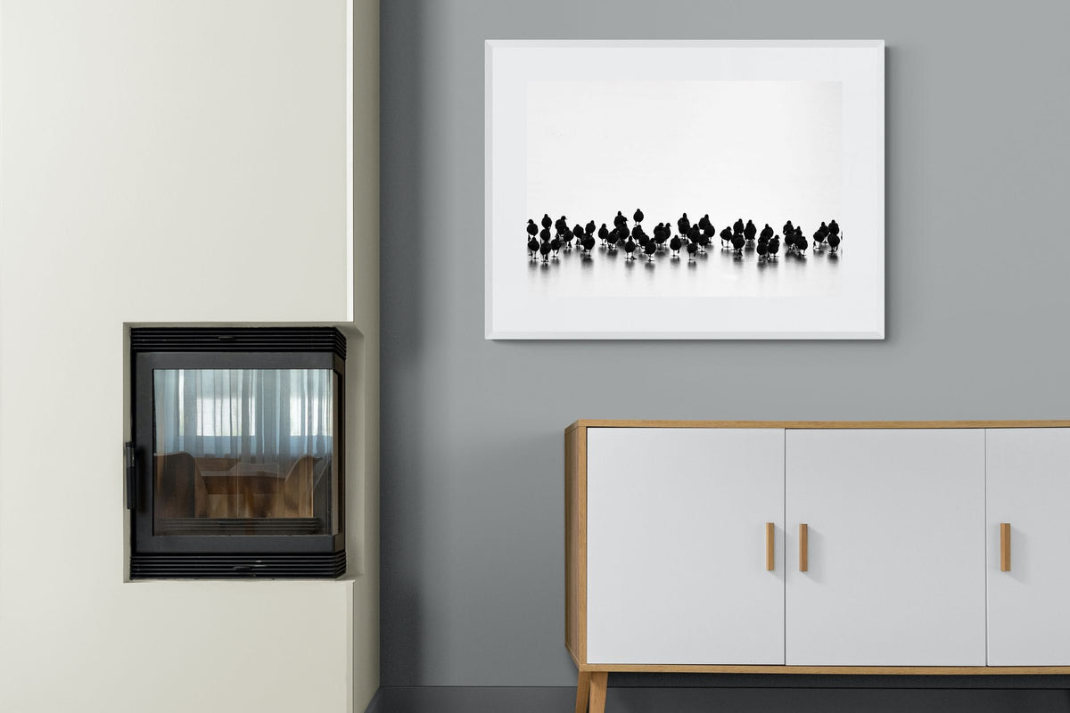 Pixalot ® Coot Gathering