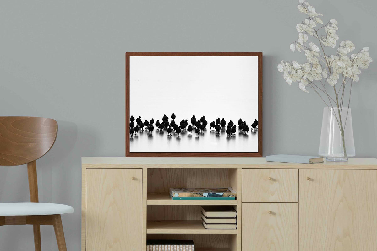 Pixalot ® Coot Gathering