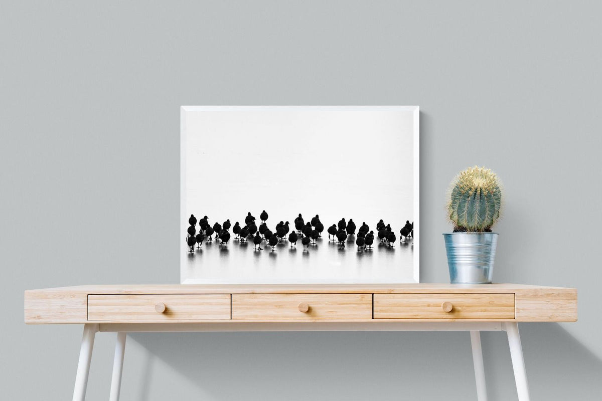 Pixalot ® Coot Gathering