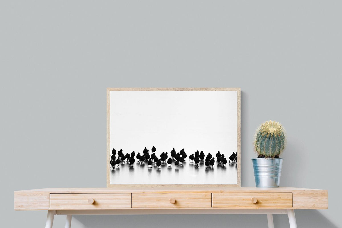 Pixalot ® Coot Gathering