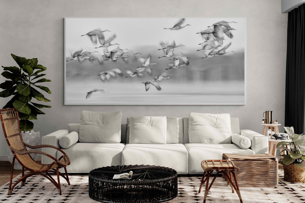 Pixalot ® Crane Migration