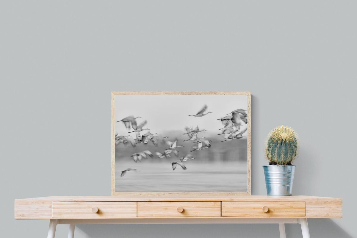 Pixalot ® Crane Migration